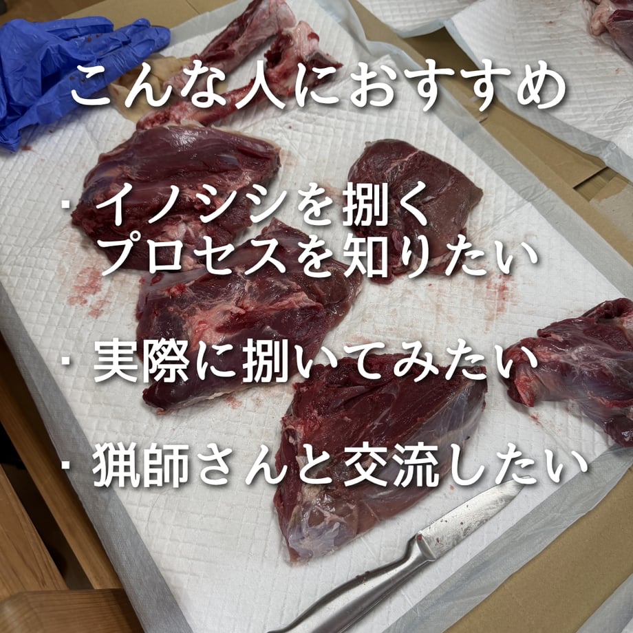 69d7d34ff25781793ff402fb