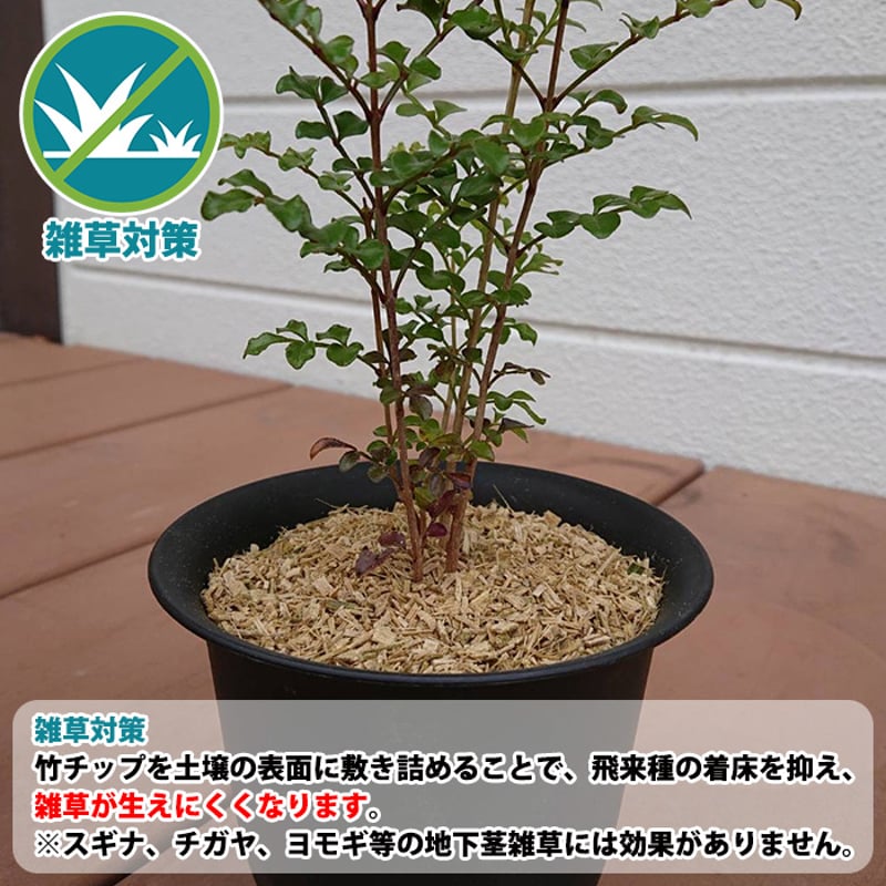竹チップ 正竹 1kg | まこちゃん