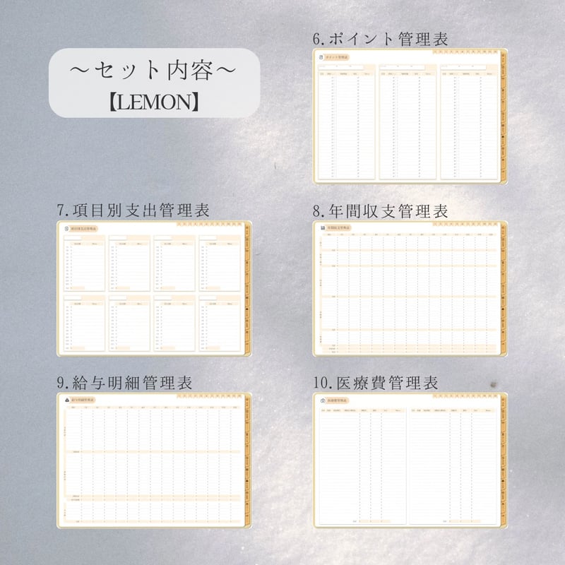買い切りタイプ】デジタル家計簿（LEMON） | KIKI デジタル雑貨のお店