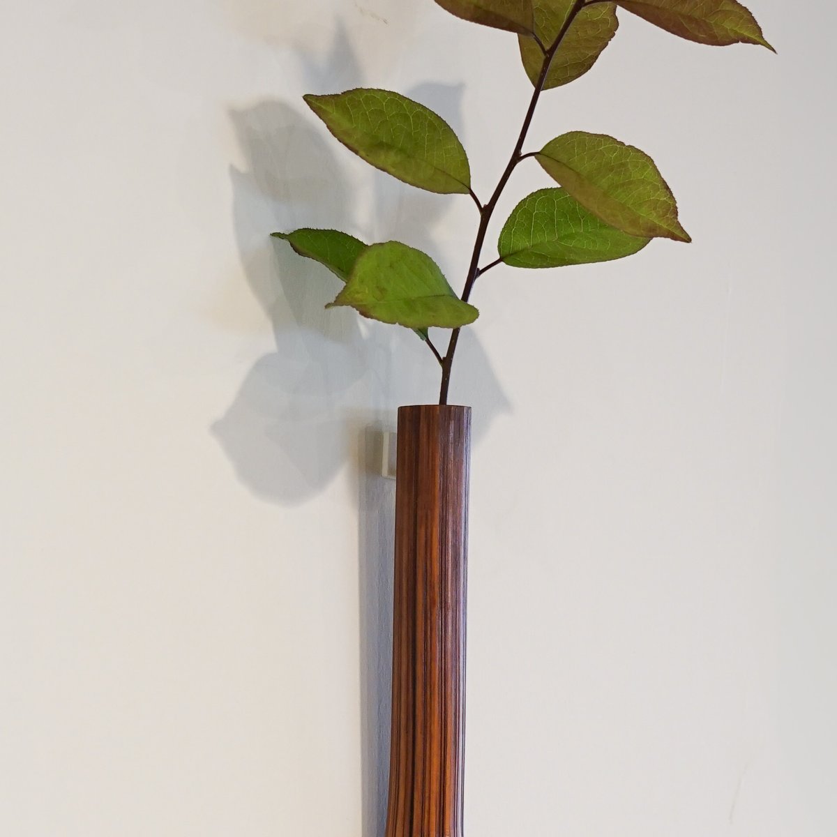 丸竹一輪挿しシボ竹 43cm CS | 暮らしの品 つかもと