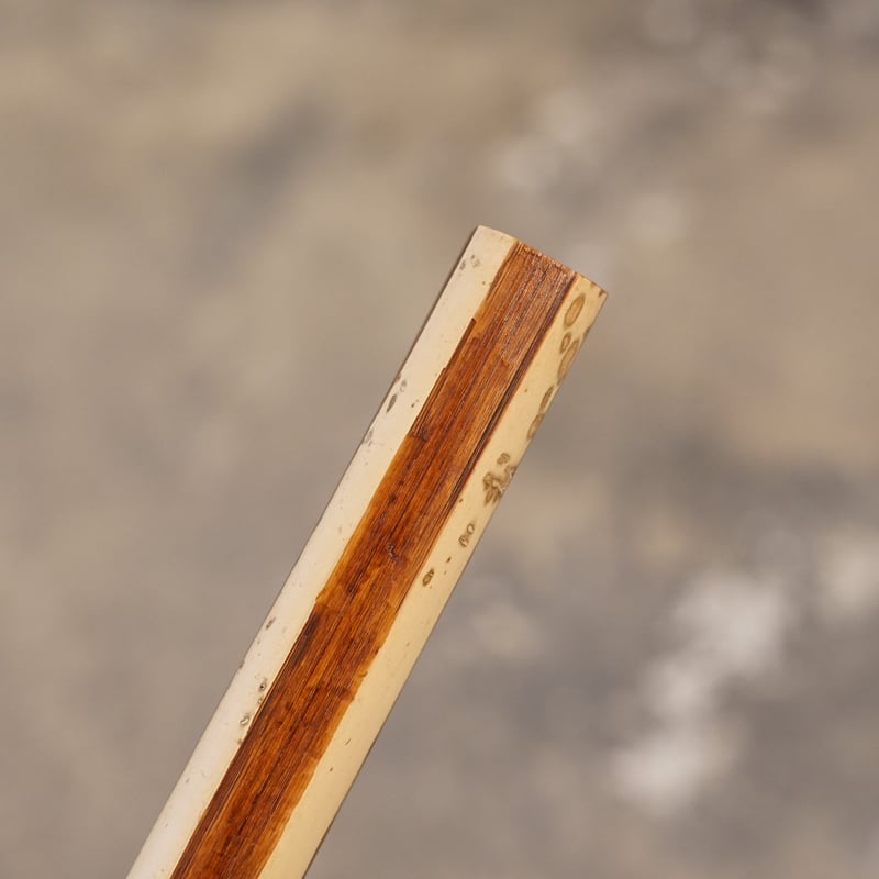 丸竹一輪挿し四面取り26.5cm CS | 暮らしの品 つかもと