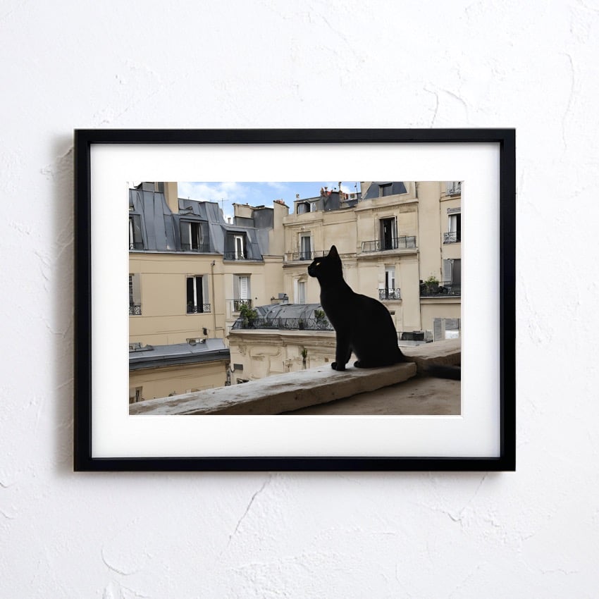 黒猫　ポスターをお飾りいただく額 182790884.jpg?cmsp_timestamp=