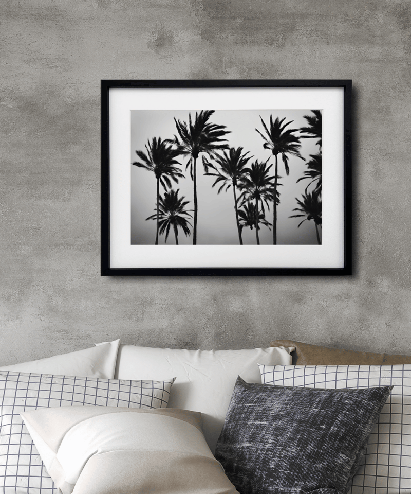 swaying palm tree｜西海岸の風を感じるモノクロパームツリーアート