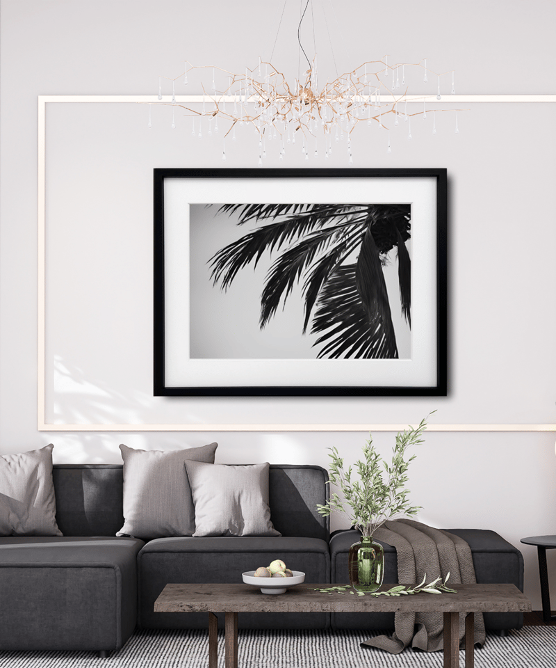 holiday｜モノクロパームツリーが魅せる西海岸スタイルのアート