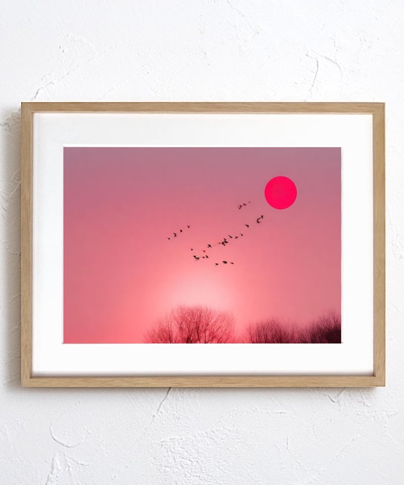 夜明けの鳥の絵　額付き絵画　イラスト 夜明けの鳥の絵 額付き絵画 イラスト sk-j4-b035.jpg
