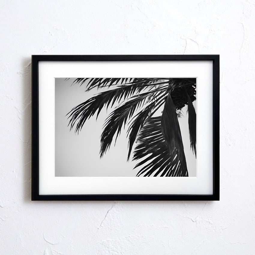 holiday｜モノクロパームツリーが魅せる西海岸スタイルのアート