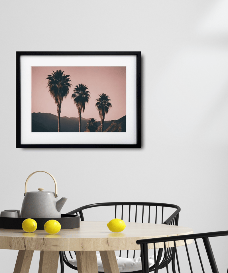 写真 カリフォルニア 西海岸 ヴィンテージ パームツリー サン