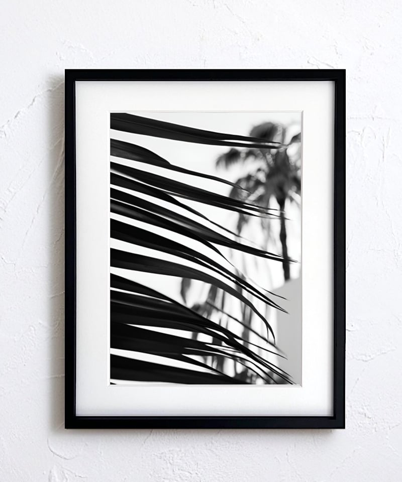 palm leaf｜モノクロで描く大人のパームツリーアートポスター｜西海岸
