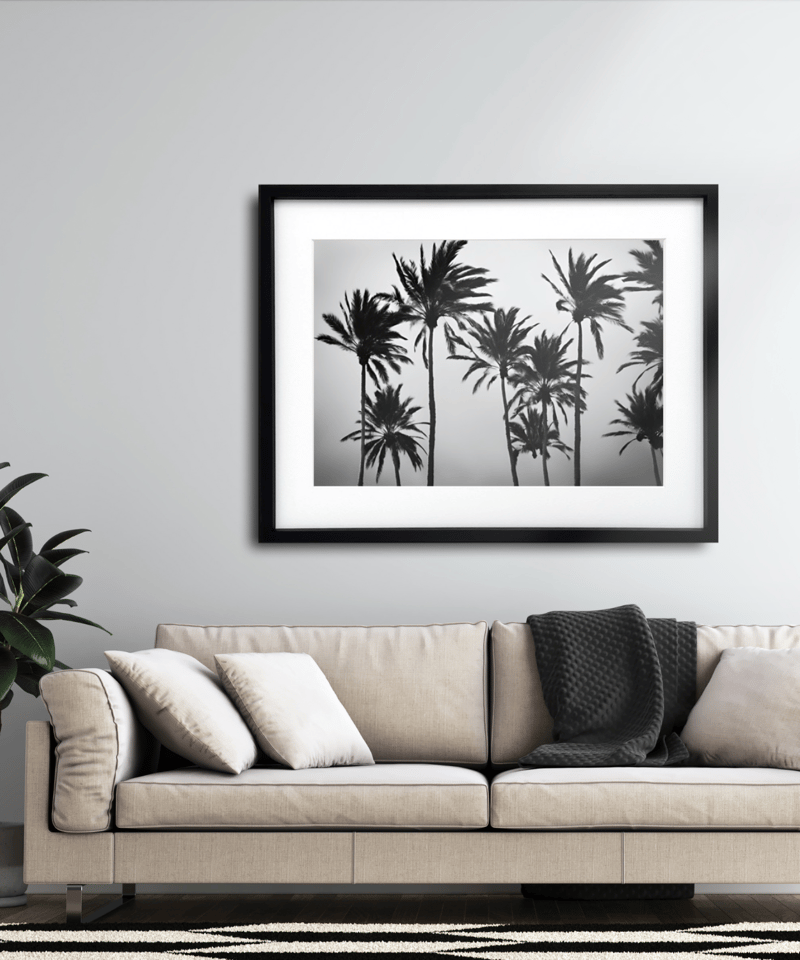 swaying palm tree｜西海岸の風を感じるモノクロパームツリーアート