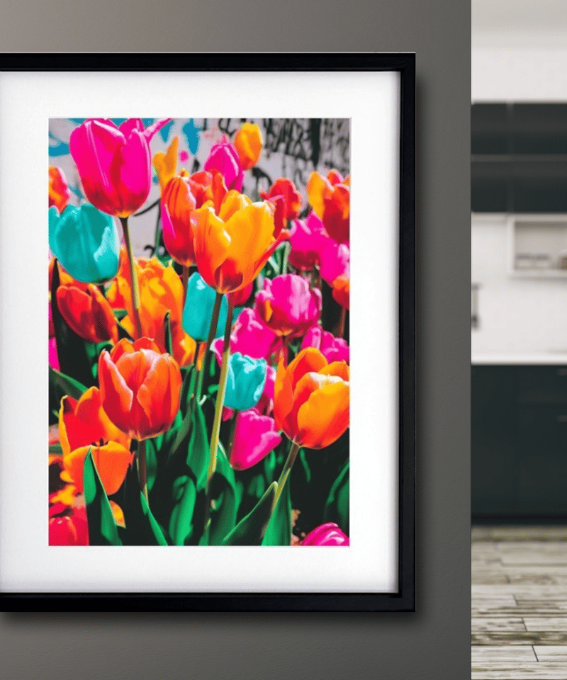 Tulips blooming on the street｜ストリート×チューリップのボタニカ