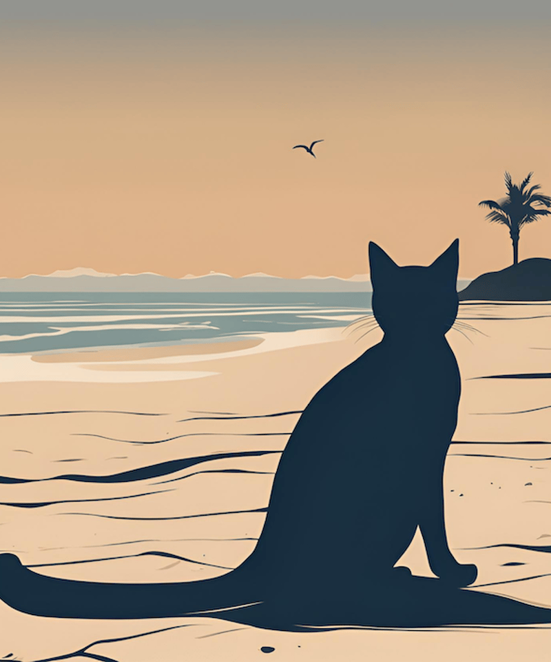 猫のシルエットアート 夕日 夕焼けを眺める黒猫｜海辺のサンセットに佇む癒しのシルエットアート