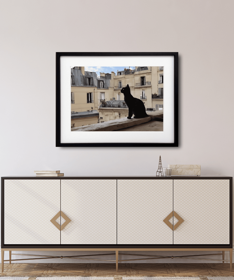 模写 Chat Noir シャ・ノワール 6号 [額縁付き] 【新品未使用】 Amazon.co.jp: Miraculous ミラキュラス レディバグ & シャノワール