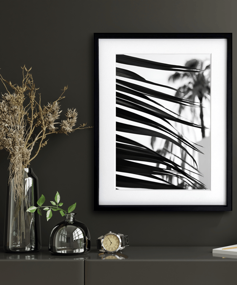 palm leaf｜モノクロで描く大人のパームツリーアートポスター｜西海岸