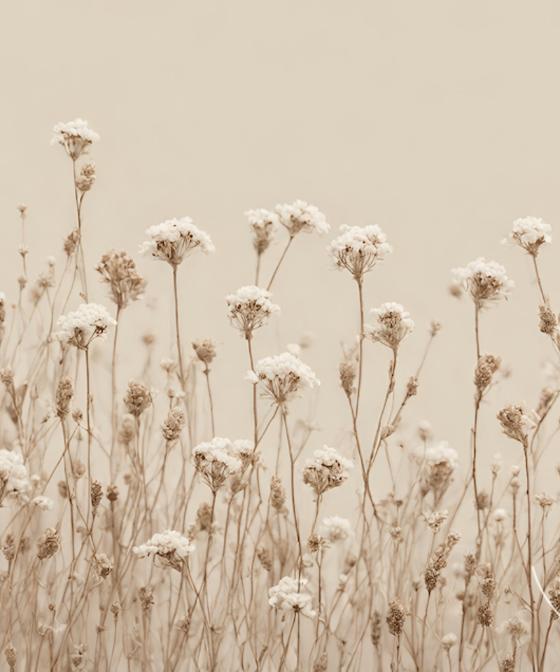 Mercy｜北欧の静けさと優しさを描いたボタニカルアートポスター