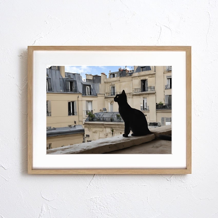 シャノワール｜パリの黒猫を描くエレガントアートポスター｜木製額縁