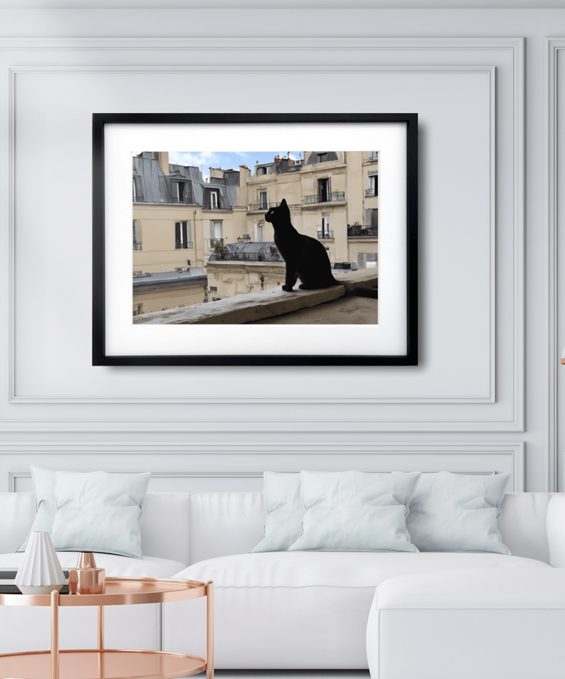 黒猫 パリ 風景 ネコ ねこ アニマル 動物 エレガント Paris シャット