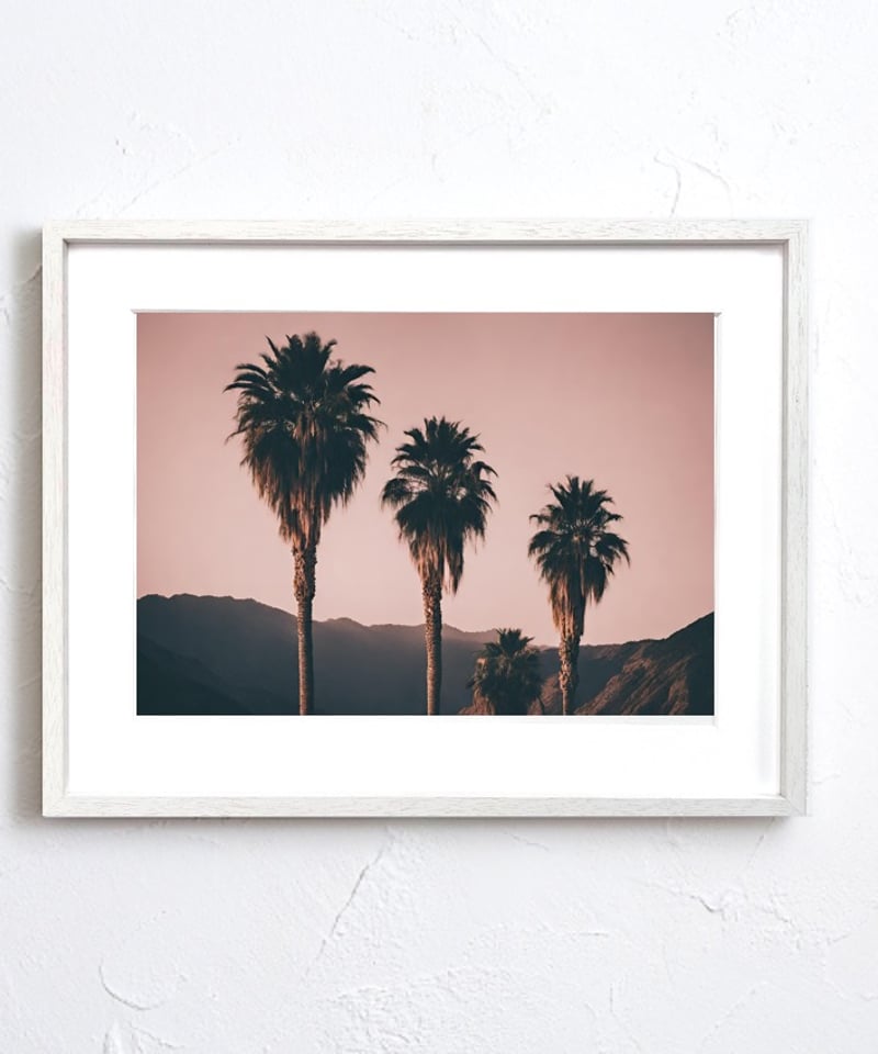 写真 カリフォルニア 西海岸 ヴィンテージ パームツリー サン