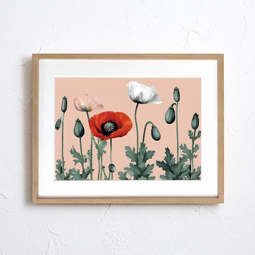 Crescendo｜軽やかに咲くポピーを描いたミニマルボタニカルアート