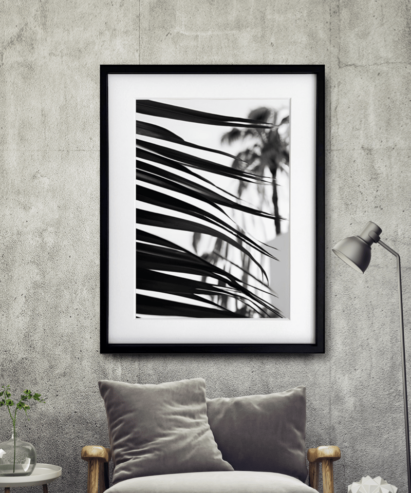 palm leaf｜モノクロで描く大人のパームツリーアートポスター｜西海岸