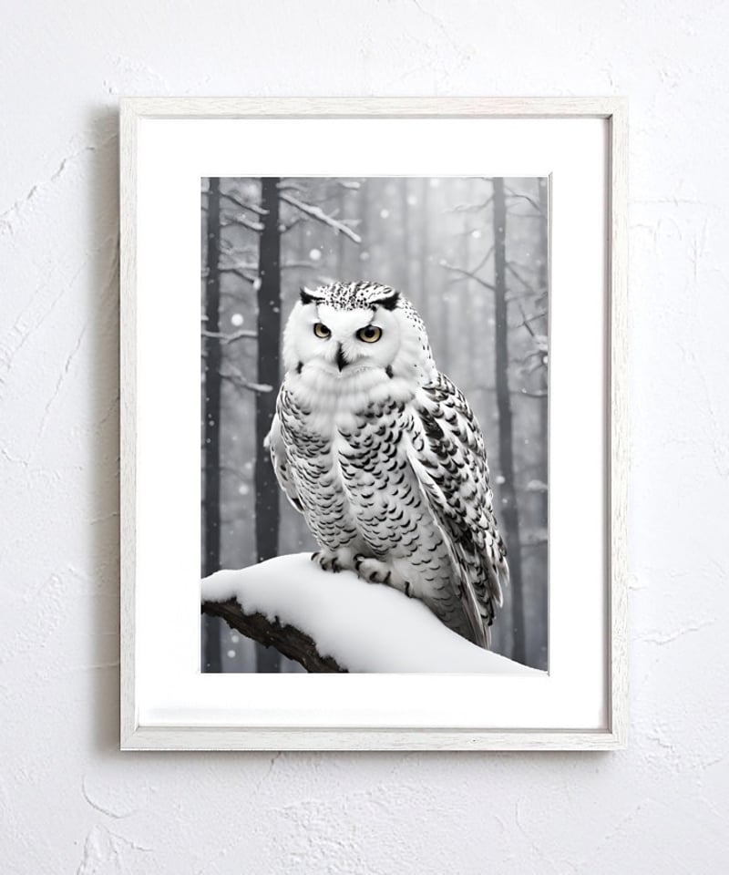 原画 アート 絵画 画家 フクロウ 梟 鳥 雛鳥 小鳥 縁起物 動物 白い鳥 雨 原画 アート 絵画 画家 フクロウ 梟 鳥 雛鳥 小鳥 縁起物 動物