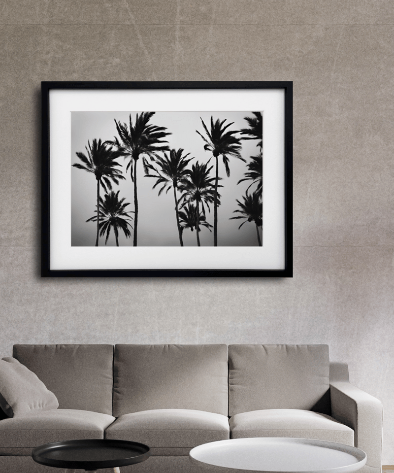 swaying palm tree｜西海岸の風を感じるモノクロパームツリーアート