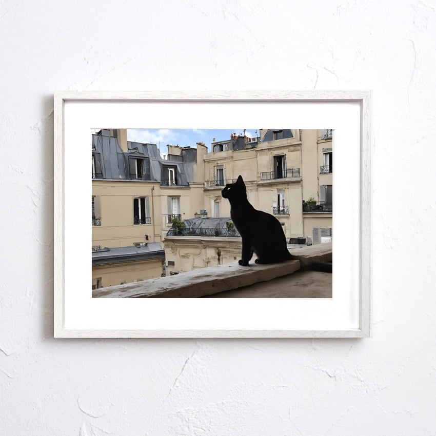 シャノワール｜パリの黒猫を描くエレガントアートポスター｜木製額縁