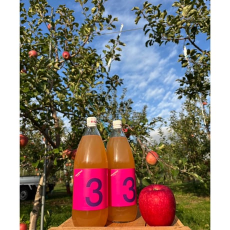 ひめかみジュース 1000ml（2本セット）