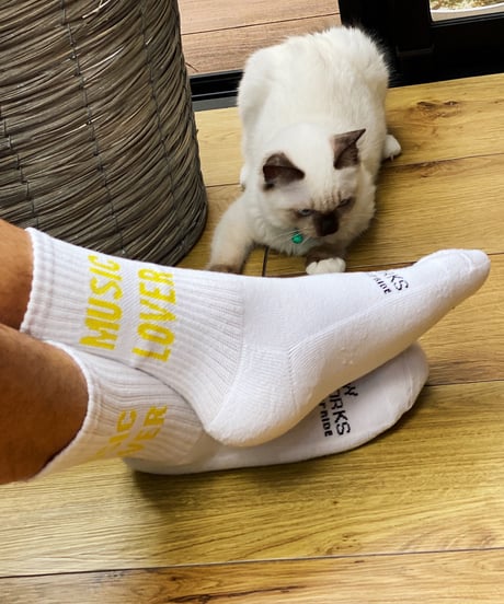 MUSIC LOVER SOCKS