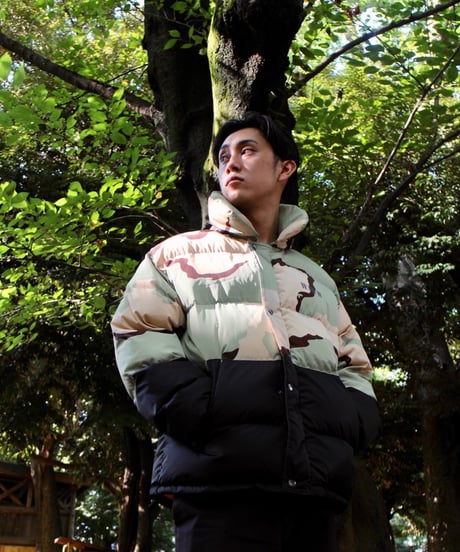 2WAY DOWN JACKET