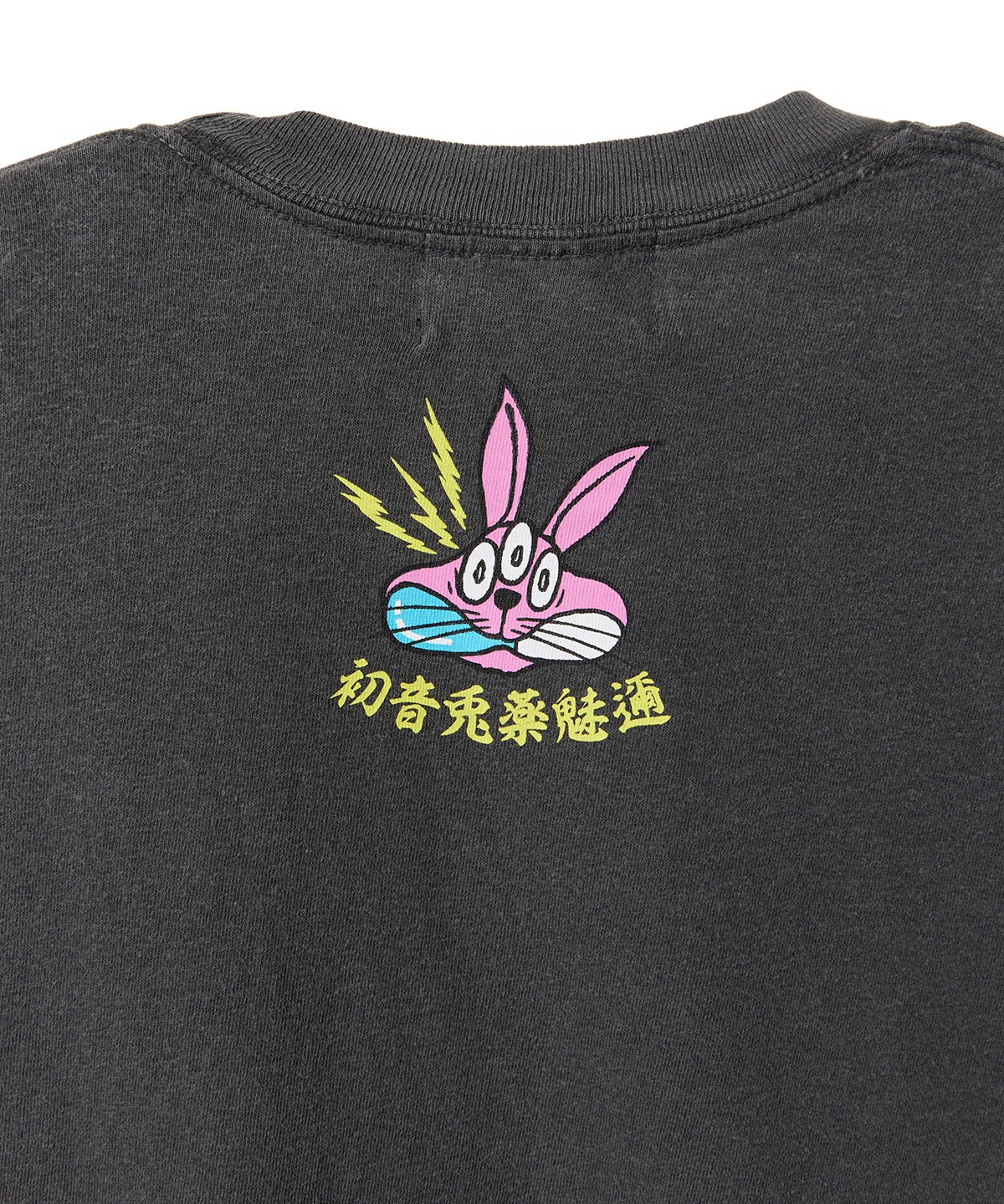 初期希少 14th addiction Voodoo Magic スカルTシャツ 初音兎薬魅邇】Crush your evil passions Tシャツ【Back】（闇色