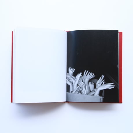 林雅之 作品集 the secret life of mannequins