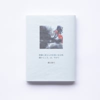 【横山隆平】書籍「映像に或るものを拭い去る時、確からしさ、は、やがて」