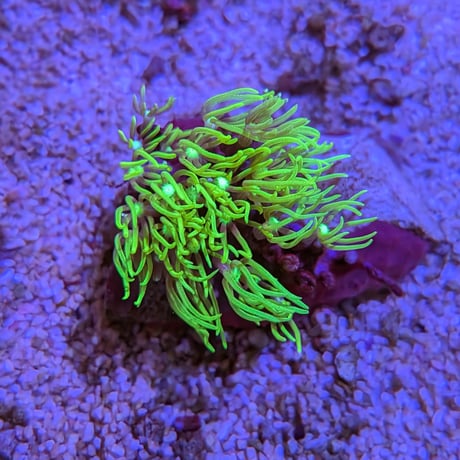 AQUABASE