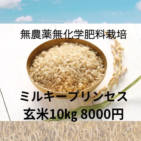 玄米 | STORES 玄米 | STORES