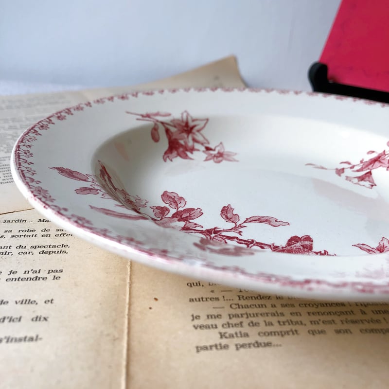 ピオニー❣️サルグミンヌ FAVORI 赤い鳥のラヴィエ ピオニー様専用