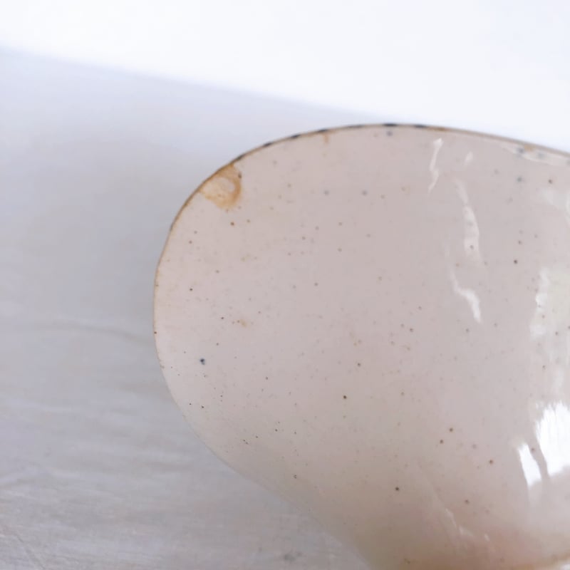 ショワジー・ル・ロワ 『BRIENNE』 ラヴィエ  フランスアンティーク食器 ショワジー・ル・ロワ 『BRIENNE』 ラヴィエ フランスアンティーク食器