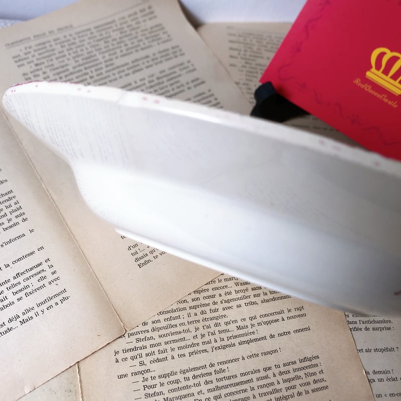 フランスアンティーク サルグミンヌ ファボリ『FAVORI』スーププレート