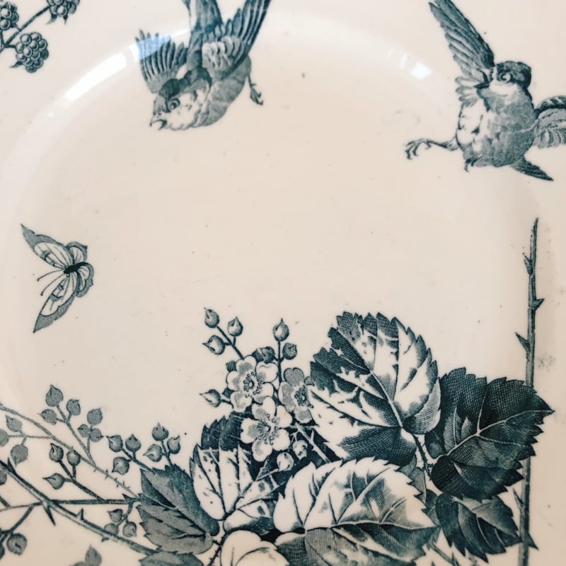 フランスアンティーク K＆G Luneville リュネヴィル 『RONCE』木苺&鳥