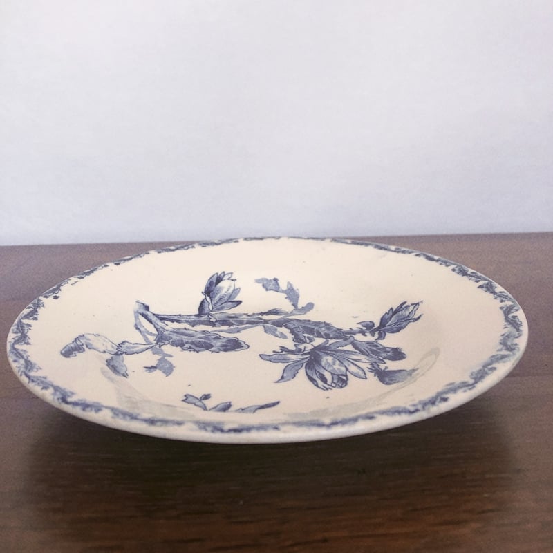 GIEN ジアン CACTUSサボテン スーププレート ブルー フランス