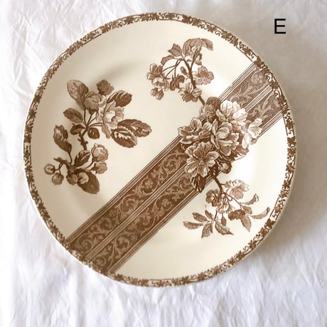 エミールブルジョワ | STORES