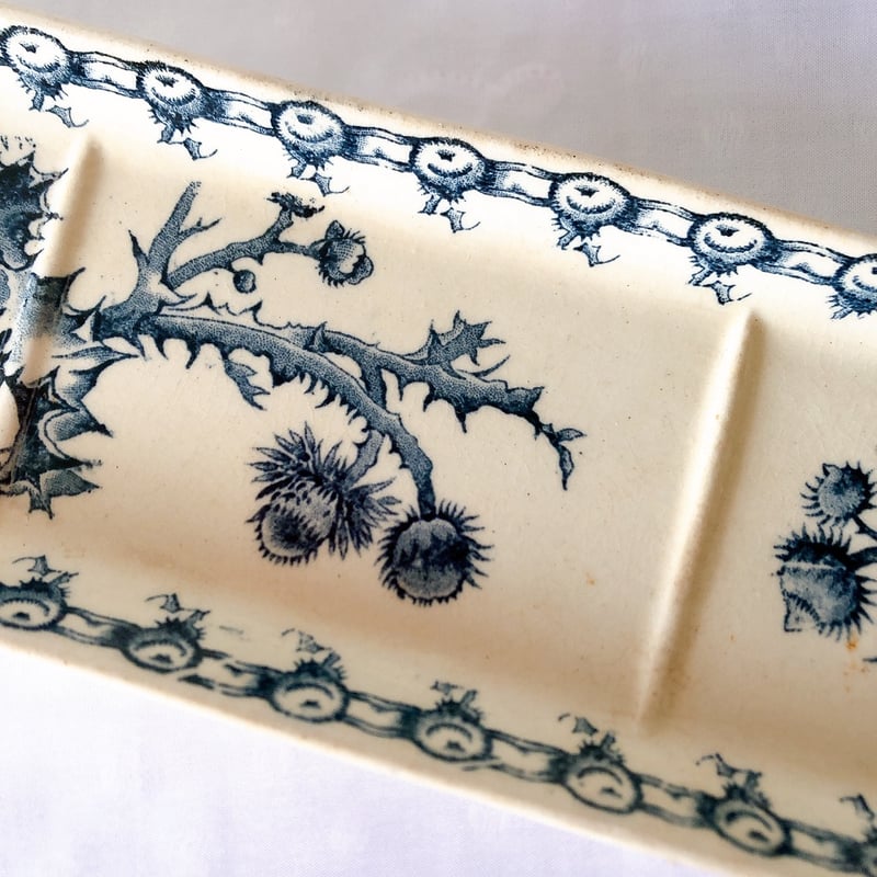 ジアン CACTUS サボテン トゥースディッシュ ブルー フランス