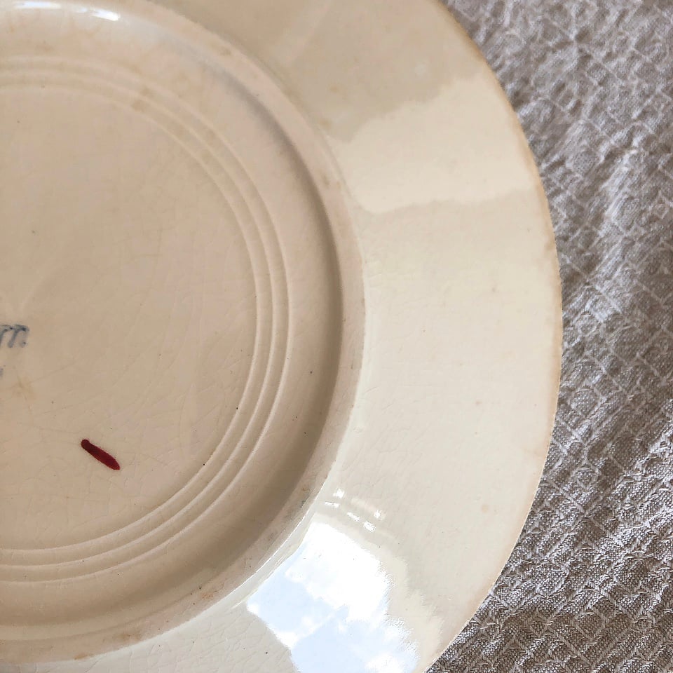 HBCM べアン クレイユモントロー バスク柄ディナープレート B フランス