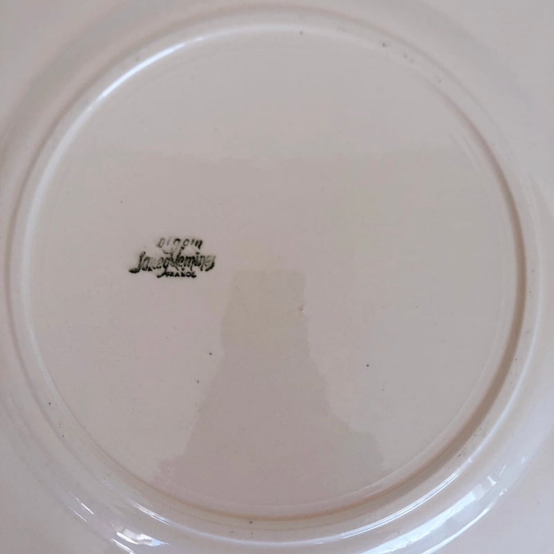 美品❤️ディゴワン＆サルグミンヌ 花リム 大皿 34㎝ フランスアンティーク食器 ディゴワン＆サルグミンヌ 花リム 大皿 34㎝ フランス