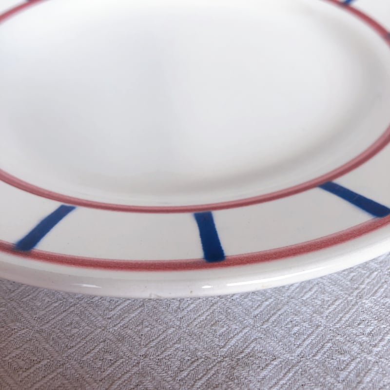 ディゴワンサルグミンヌ バスク柄デイナープレート A フランス