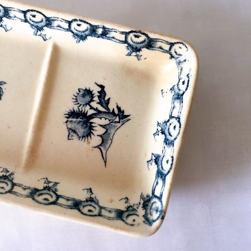 ジアン CACTUS サボテン トゥースディッシュ ブルー フランス