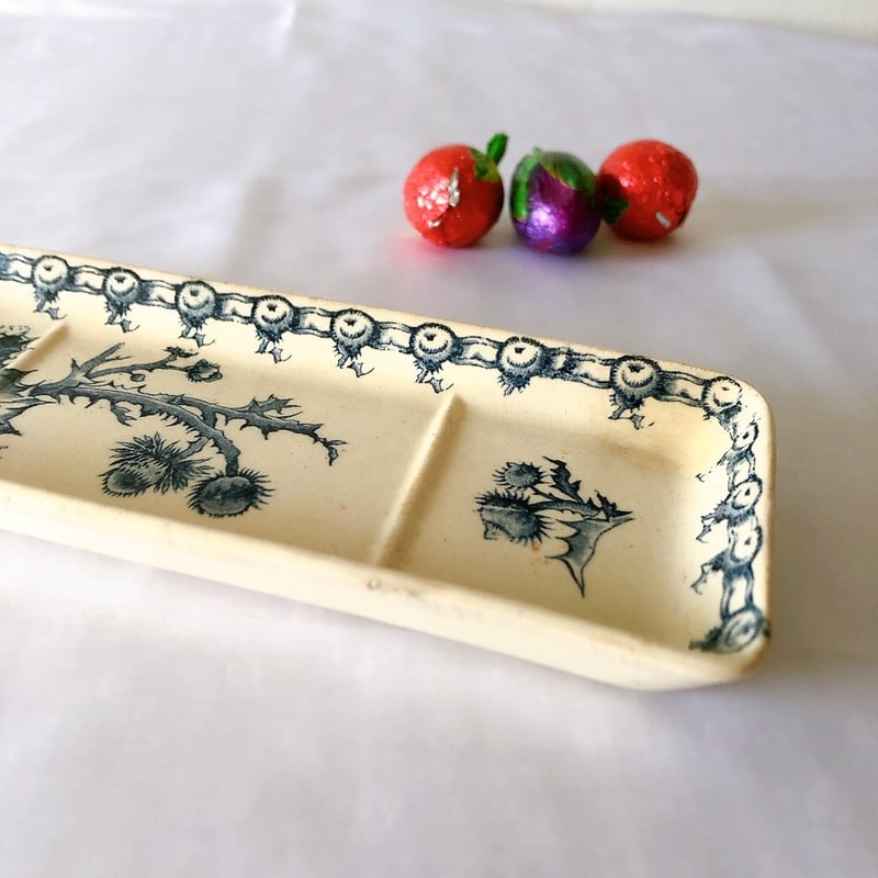 ジアン CACTUS サボテン トゥースディッシュ ブルー フランス