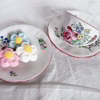 日本未発売 Cote D'orコートドールミニョネットノワール ドノワール