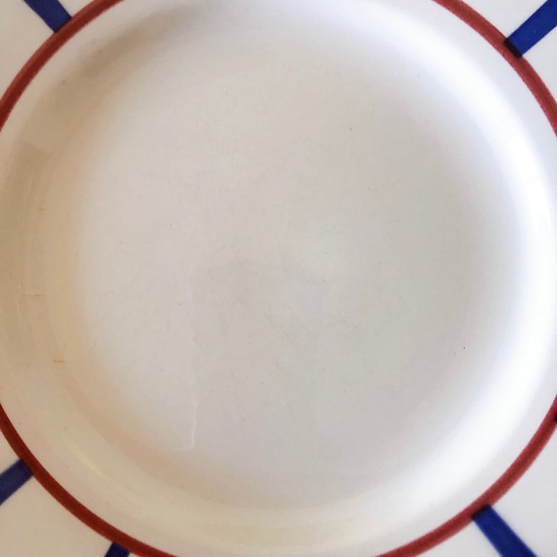 ディゴワンサルグミンヌ バスク柄デイナープレート D フランス