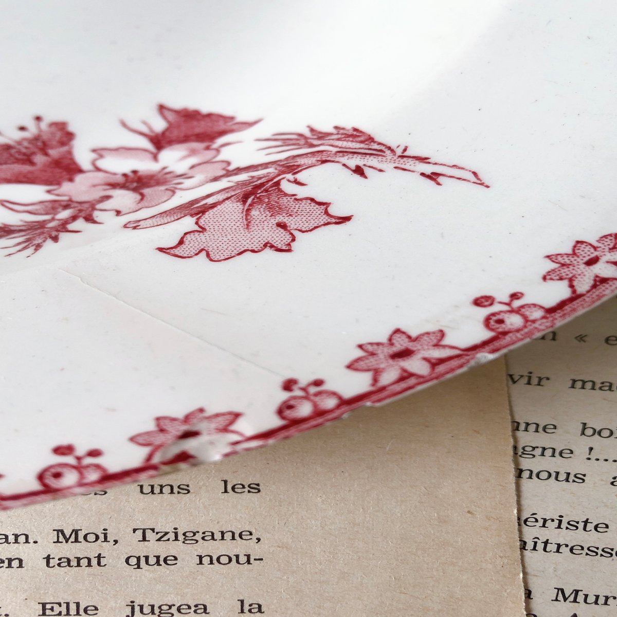 フランスアンティーク サルグミンヌ ファボリ『FAVORI』スーププレート