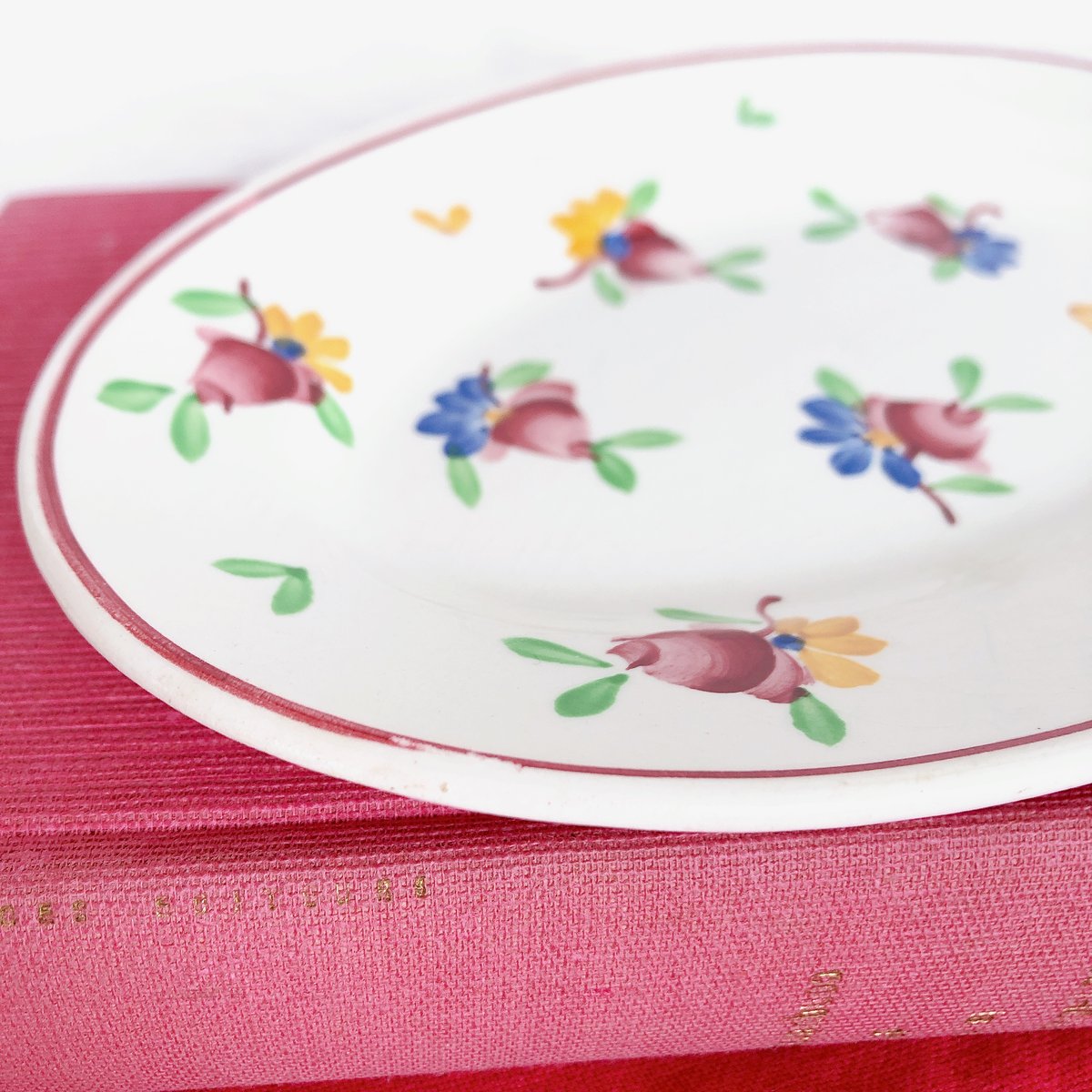 GIEN ラヴィエプレート ジアン GIEN ラヴィエ 『VAL DE LOIRE』フランスアンティーク食器